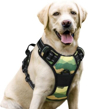 rabbitgoo Dog Harness, No Pull for ...