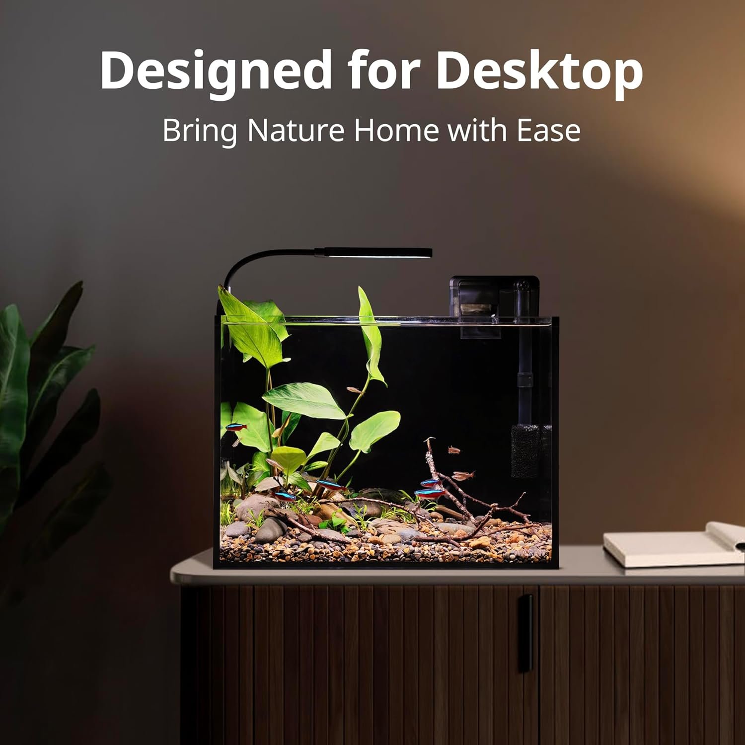NICREW 2.5 Gallon Nano Nature Aquarium Kit, Ultra-Clear Rimless Desktop Fish Tank with Light and Filter, Perfect for Small Fish, Shrimp, or Betta, Basic Version, Black - Image 2