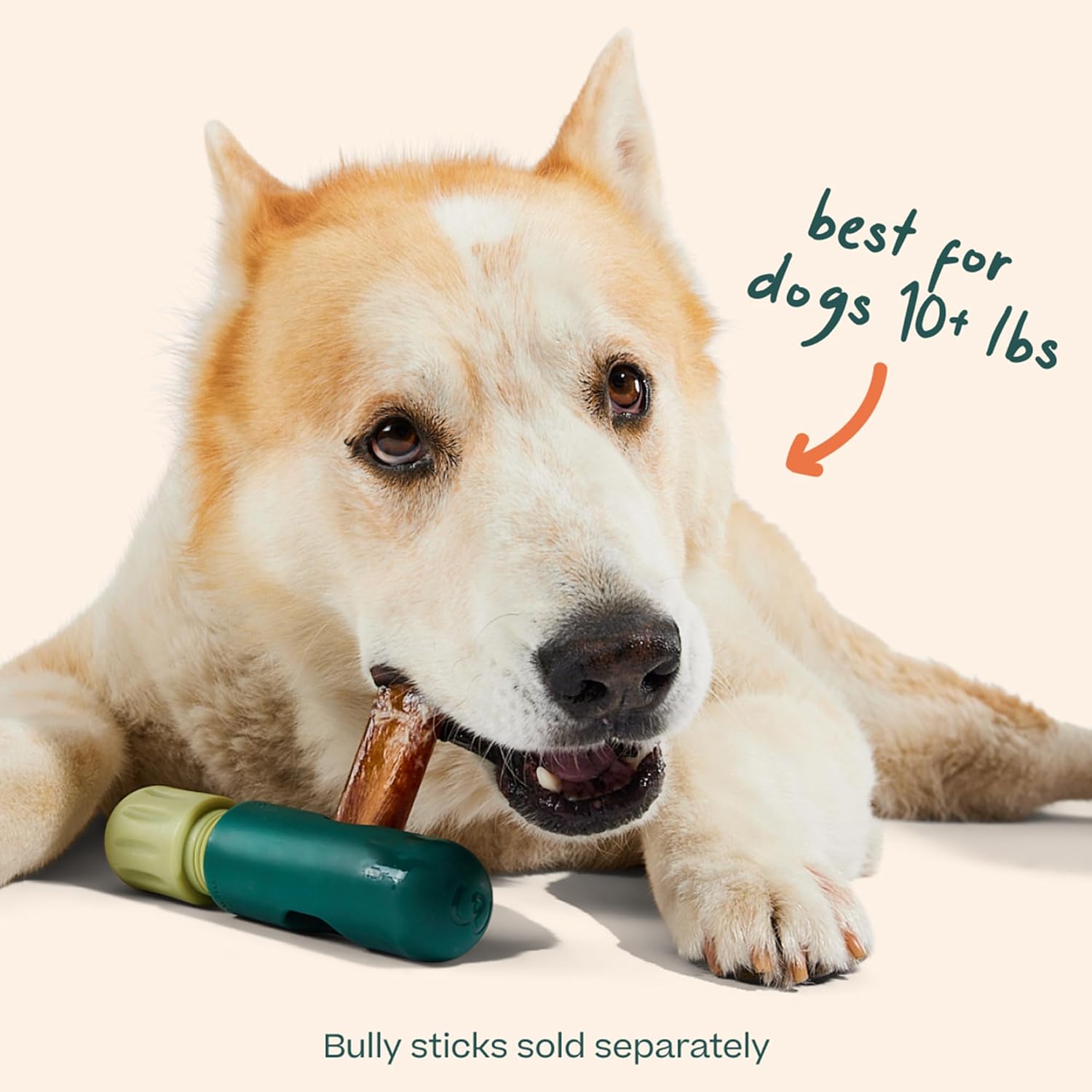 WOOF BullySafe - Bully Stick Holder - Durable Dog Chew Holder for Safe, Long-Lasting Play - Easy to Clean - No More Swallowed Ends - for Dogs 10+ lbs - Image 6