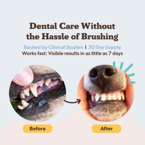 Natural Dog Company Dental Powder f...