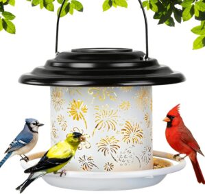 Solar Bird Feeders for Outdoors, We...