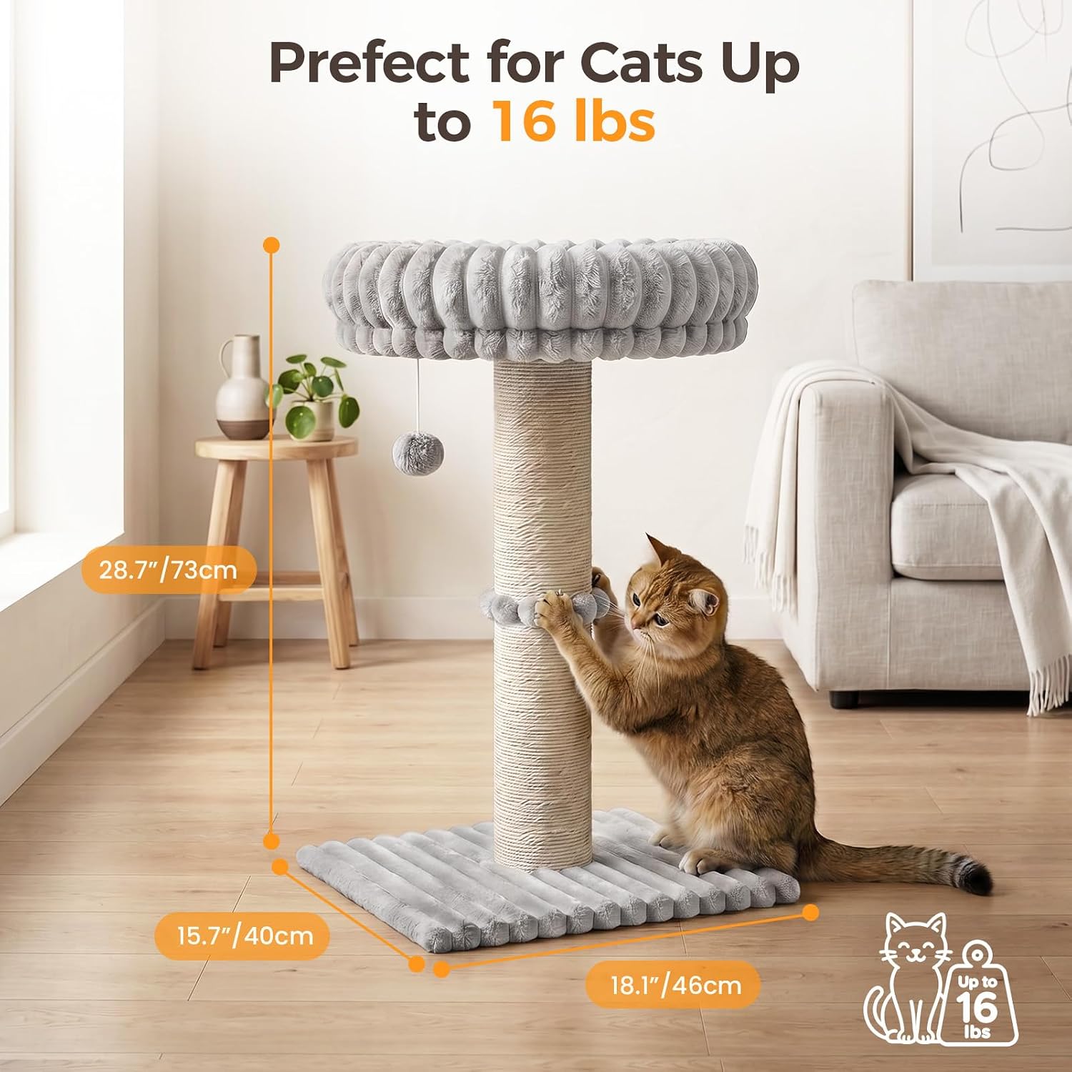 Avont 29” Sisal Cat Scratching Post, Cat Scratcher with Large Plush Perch | Scratching Post with Plush Elevated Bed for Indoor Cats, Removable& Washable Cover, Lightgrey - Image 3