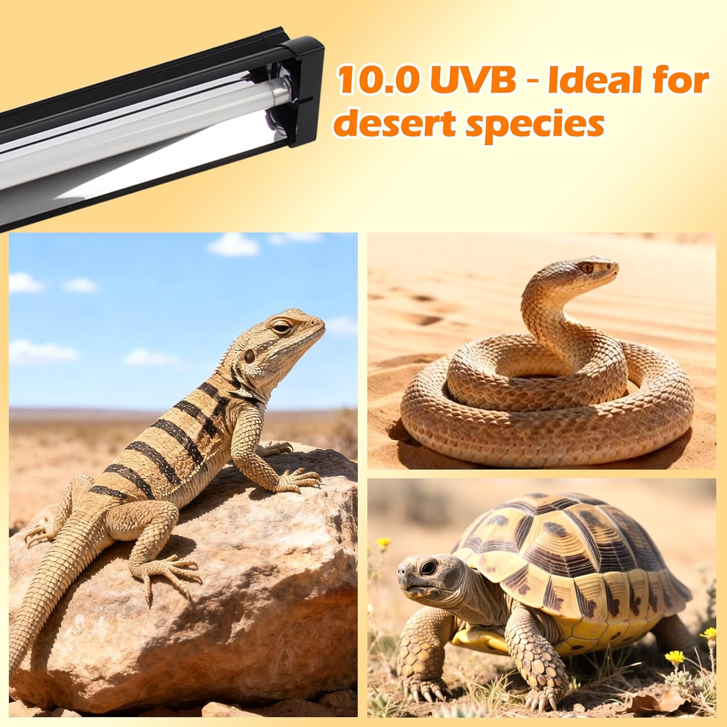 T5 UVB Reptile Light Fixture Combo Kit 8W 10.0 – Complete HO UVB Light for Reptiles with 12.44" Terrarium Hood, Desert UVB Bulb for Bearded Dragon Gecko Tortoise Lizard – Easy to Install and Use - Image 9