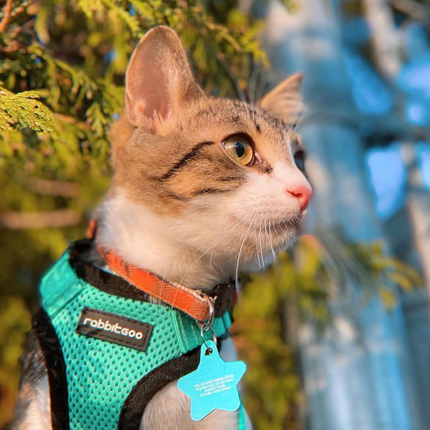 rabbitgoo Cat Harness and Leash Set, Escape Proof Vest, Emerald | Soft Breathable Mesh, Easy Adjustable Fit, Snap Buckles, Sturdy Clip, Reflective Strips, for Small & Average Cats Walks, Xs - Image 9