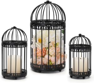 NUPTIO Decorative Bird Cages for Ce...