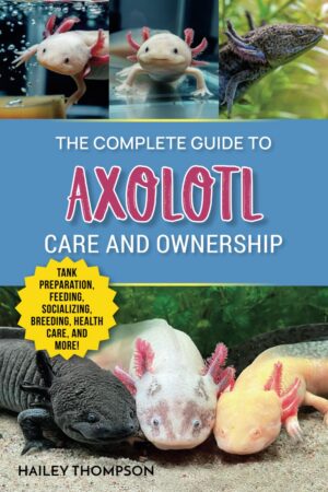 The Complete Guide to Axolotl Care ...