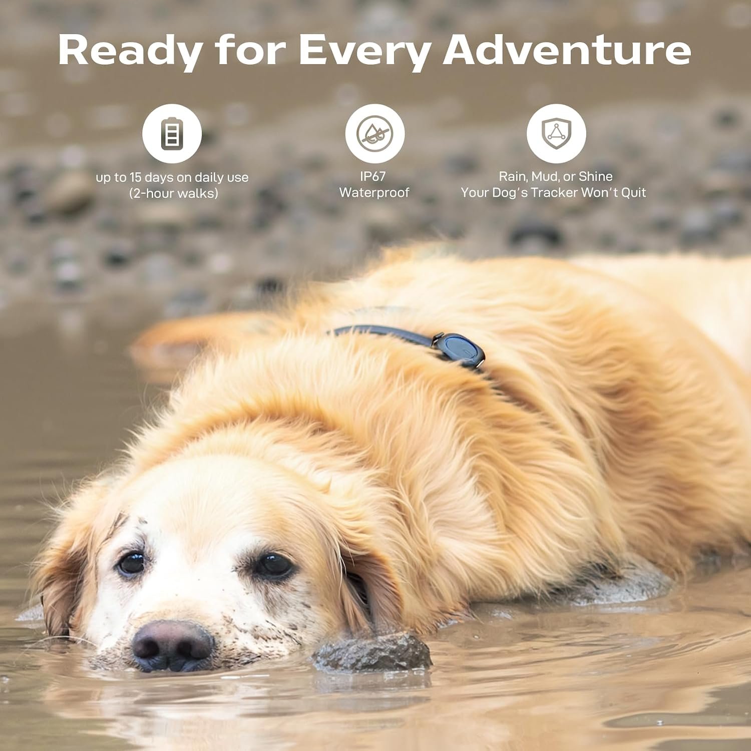 Outdoor GPS Dog Tracker – No Monthly Fees, No Phone or Cellular Signal Needed, Real-Time Tracking for Remote & Rural Areas, Hiking, Camping, Farms & Large Open Spaces(Tracker 2) - Image 5