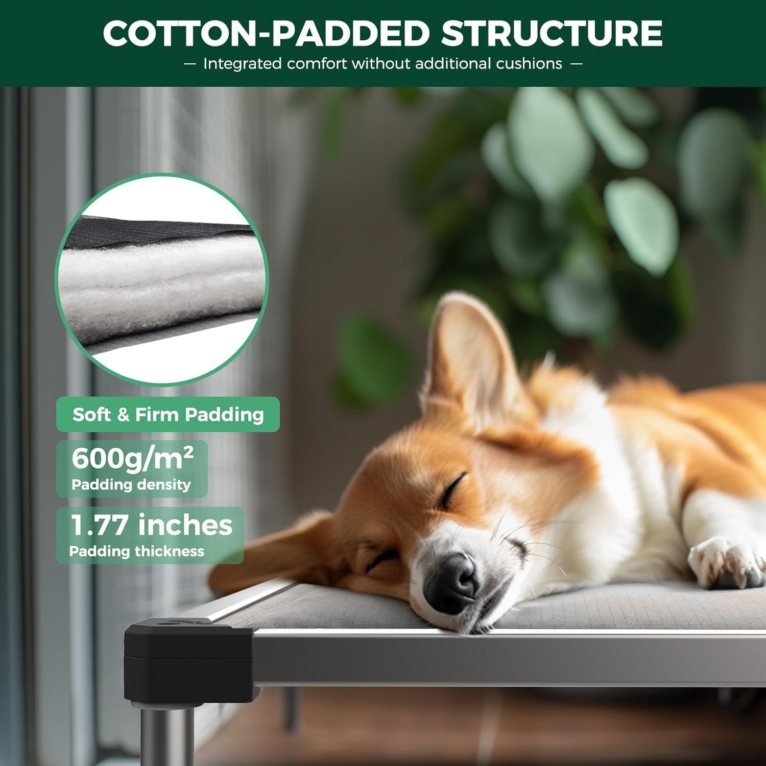 FXW TitanNest Padded Chew-Proof Elevated Dog Bed for Small Dogs | Easy to Clean, Pre-assembly Raised Cot, Indoor/Outdoor/Camping, 35 x 22 x 4.5in - Image 4