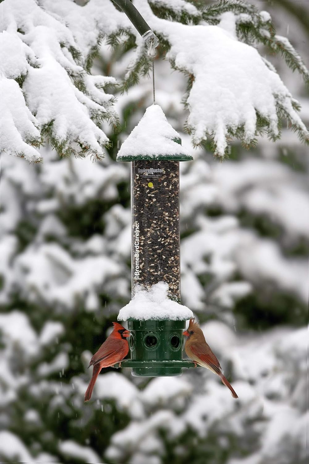 Squirrel Buster Plus Squirrel-proof Bird Feeder w/Cardinal Ring and 6 Feeding Ports, 5.1-pound Seed Capacity, Adjustable, Pole-mountable (POLE ADAPTOR SOLD SEPARATELY), Green | Squirrel-Proof Weight-Activated Shroud, Cardinal Ring, 6 Ports, 5.1 Lb Capacity, Adjustable Tension, Detachable for Cleaning - Image 11