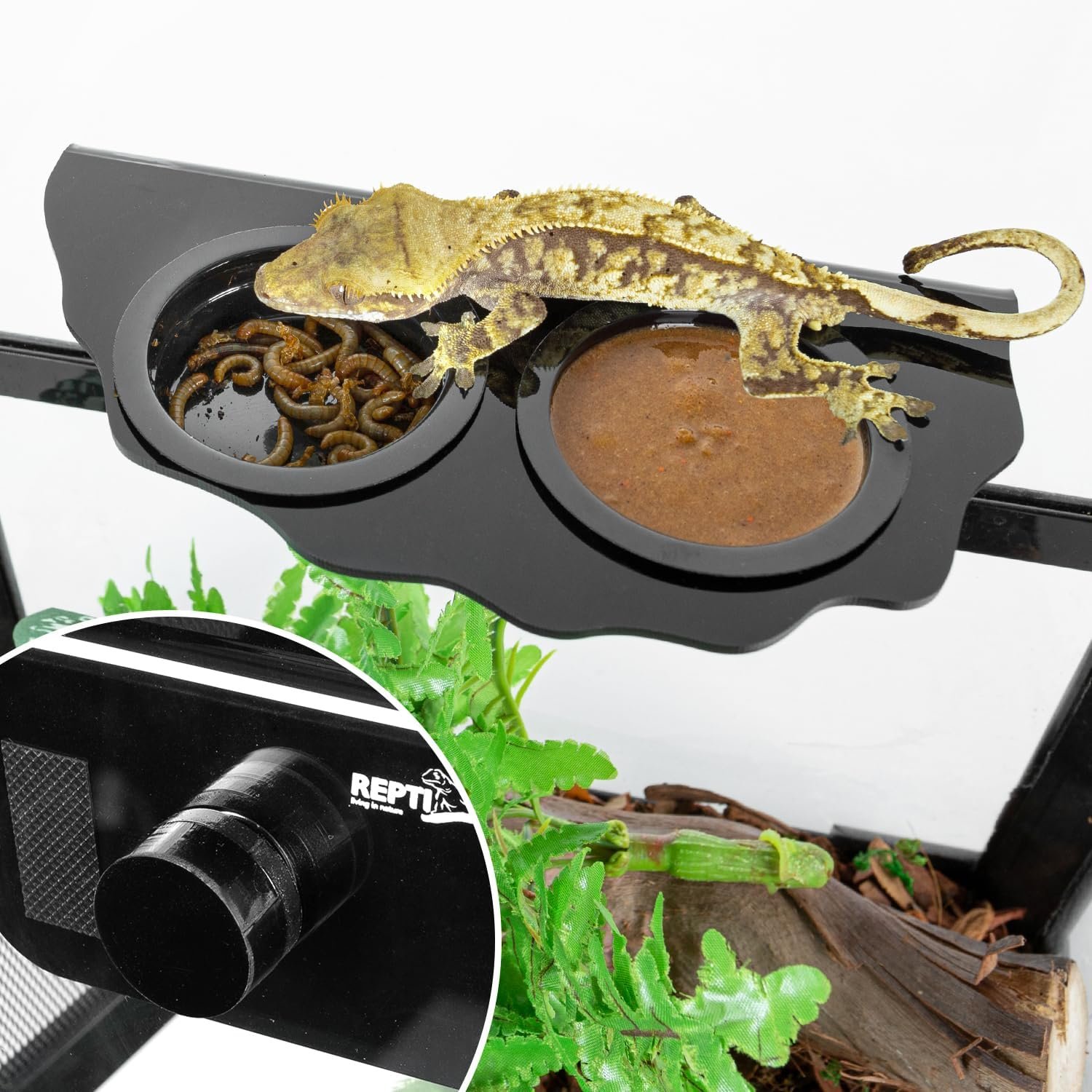 REPTI ZOO Magnetic Gecko Feeding Ledge, Acrylic Aboreal Feeding Ledge with 6PCS Cups, Strong Magnetic Reptile Ledge Gecko Food Ledge - Image 3