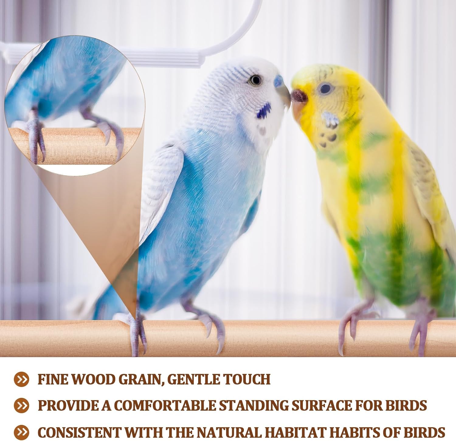 Sintuff 8 Pcs Bird Perches for Cage Accessories, Wooden Perch Rods Replacement with Double Head Slots, 0.6 Inch Diameter Natural Wood Stand for Parrot Macaw Cockatoo Parakeet (18 Inches) - Image 4