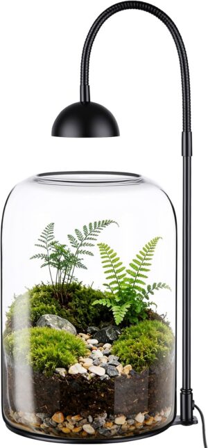 Glass Plant Terrarium with LED Grow...