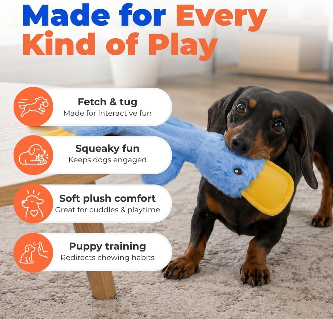 Best Pet Supplies Interactive Squeaky Dog Chew Toy, Ideal Dog Toys for Chewers, Small, Medium & Large Dogs, and Fetch Lovers - Crinkle Duck (Blue), Large - Image 4