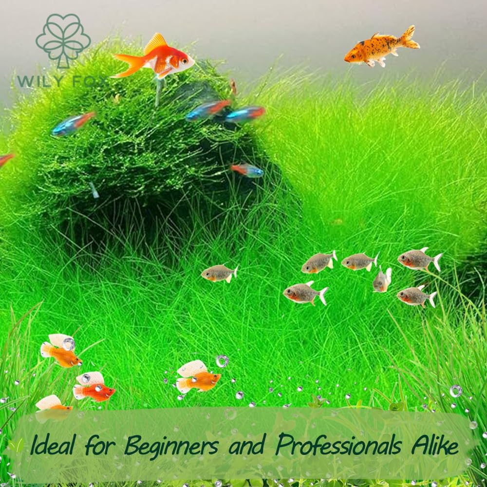 Premium Aquarium Plant Seeds for Planting – 13,000+ Live Mixed Seeds, 8 Varieties – Easy-to-Grow Aquatic Greenery for Lush, Vibrant Fish Tanks - Image 6