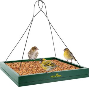 MIXXIDEA Bird Feeder Hanging Tray, ...