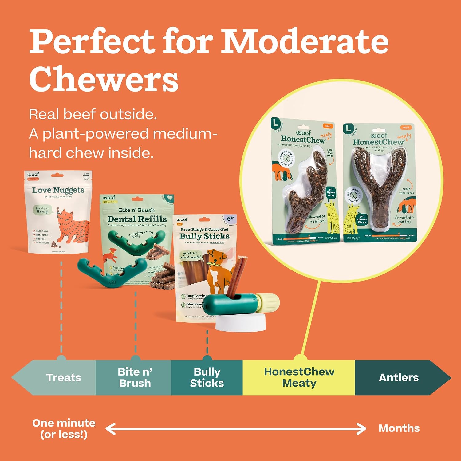 WOOF HonestChew Meaty Y-Gnawt Dog Chew Toy for Dogs 25-60 lbs | For small dogs, plant-based materials, splinter-resistant, beef covering, durable chew, supports dental care - Image 8