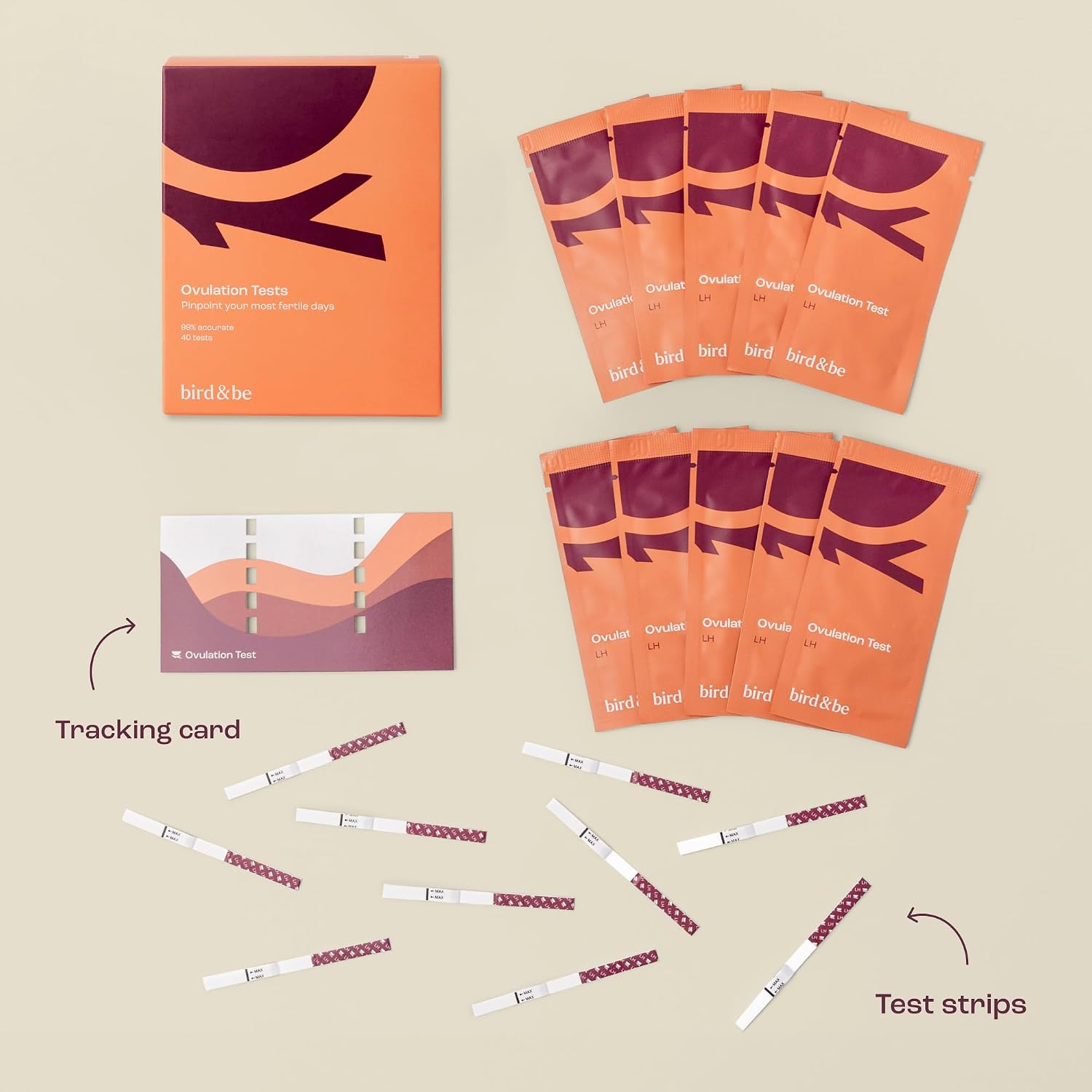 bird&be Ovulation Test Strips (LH) | 40 High-Accuracy Predictor Kits | Track Fertile Window & LH Surge | Eco-Friendly Low-Waste Design | Easy Dip & Read Results | TTC Fertility Monitor - Image 2