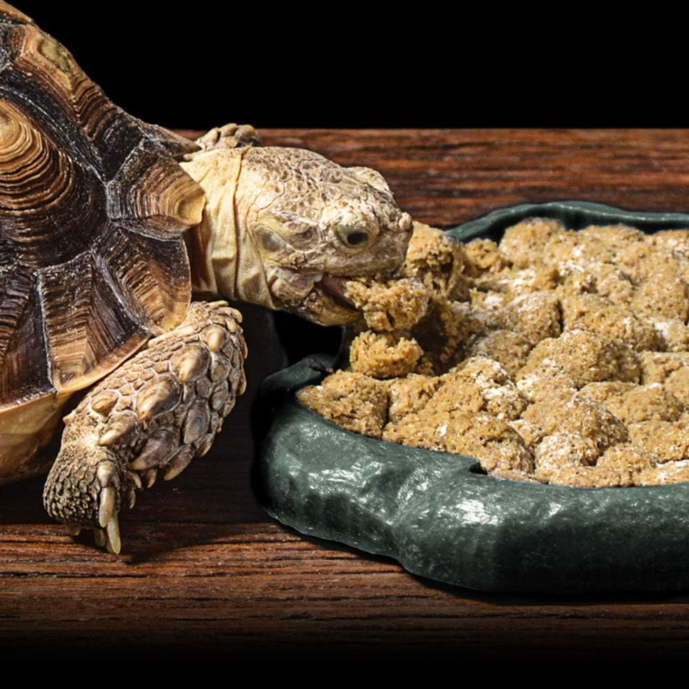 SLSON Small Reptile Feeder Terraium Bowl Plastic Shallow Reptile Feeder for Food and Water Feeding Dish for Lizard Gecko Junior Bearded Dragon,Small Green - Image 7