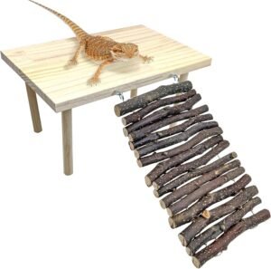 BNOSDM Wooden Basking Platform with...
