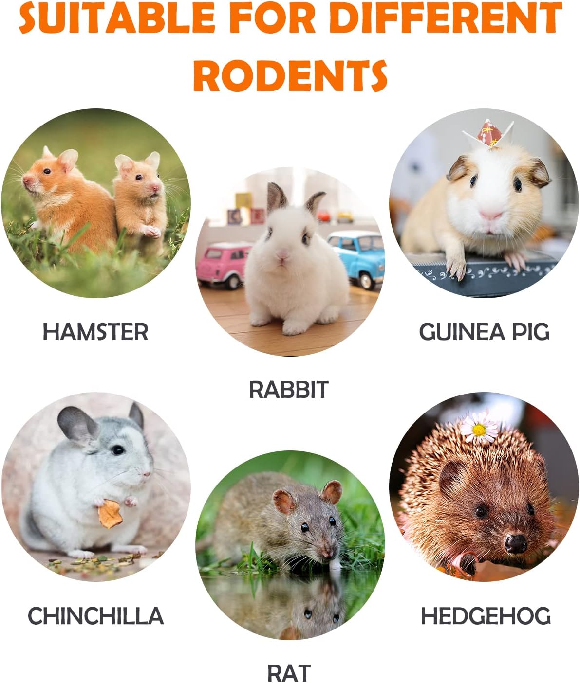 Sofier 12Pcs Timothy Hay Treats Rabbit Toys Bunny Toys Guinea Pig Natural Chews for Teeth Handmade Rabbit Chews and Treats Chinchilla Rat Hamster Gerbil - Image 6