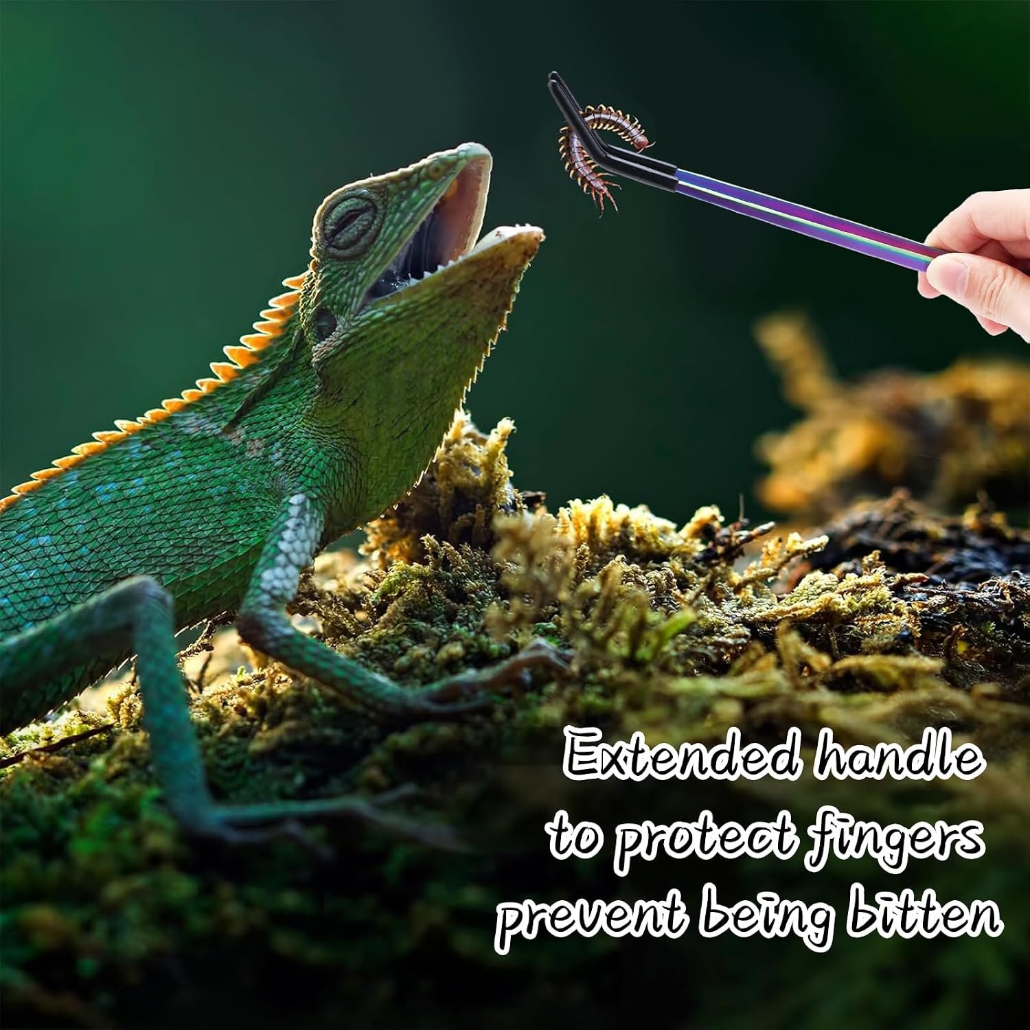 2PCS Stainless Steel Reptile Feeding Tongs with Rubber Tip, 10.6" Straight & Curved Long Tweezers, Perfect for Aquariums & Crafts - Ideal Bearded Dragon & Snake Tank Accessories, Terrarium Supplies - Image 5