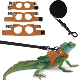 Bearded Dragon Harness Leash Set 3 ...