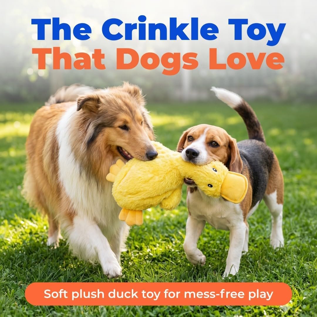 Best Pet Supplies Interactive Squeaky Dog Chew Toy, Ideal Dog Toys for Chewers, Small, Medium & Large Dogs, and Fetch Lovers - Crinkle Duck (Yellow), Large - Image 2