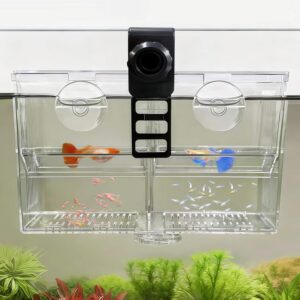 Dual-Chamber Aquarium Fish Breeder ...