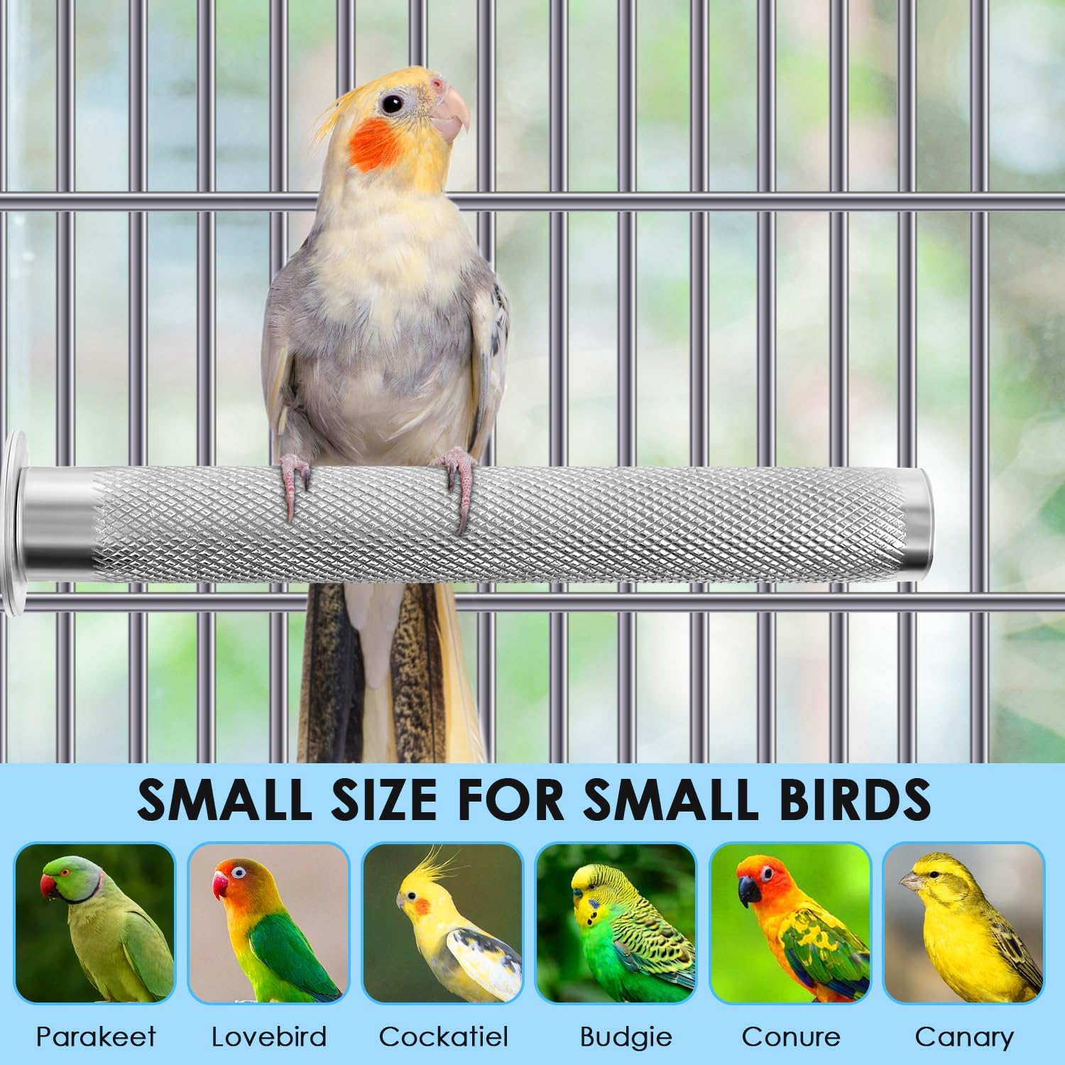 KATUMO Bird Perch - Stainless Steel - Rough Surface Stand for Small to Medium Parrots (9.8 x 1.0 inch) - Image 7