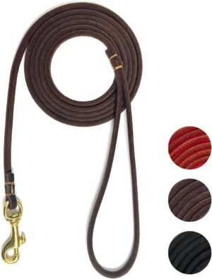 Guiding Star Leather Dog Leash 6 ft...