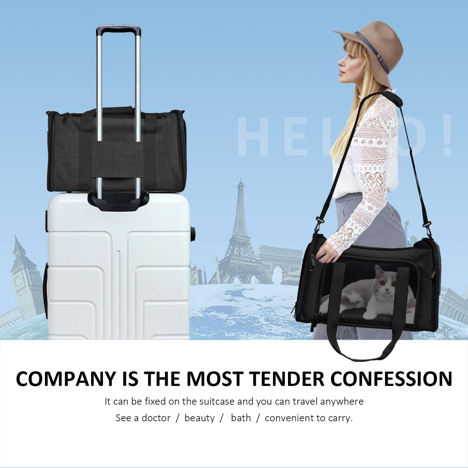 Henkelion Large Soft Sided Cat and Pet Carrier for Cats and Puppies up to 25Lbs - Collapsible, Waterproof Travel Carrier - Black - Image 7