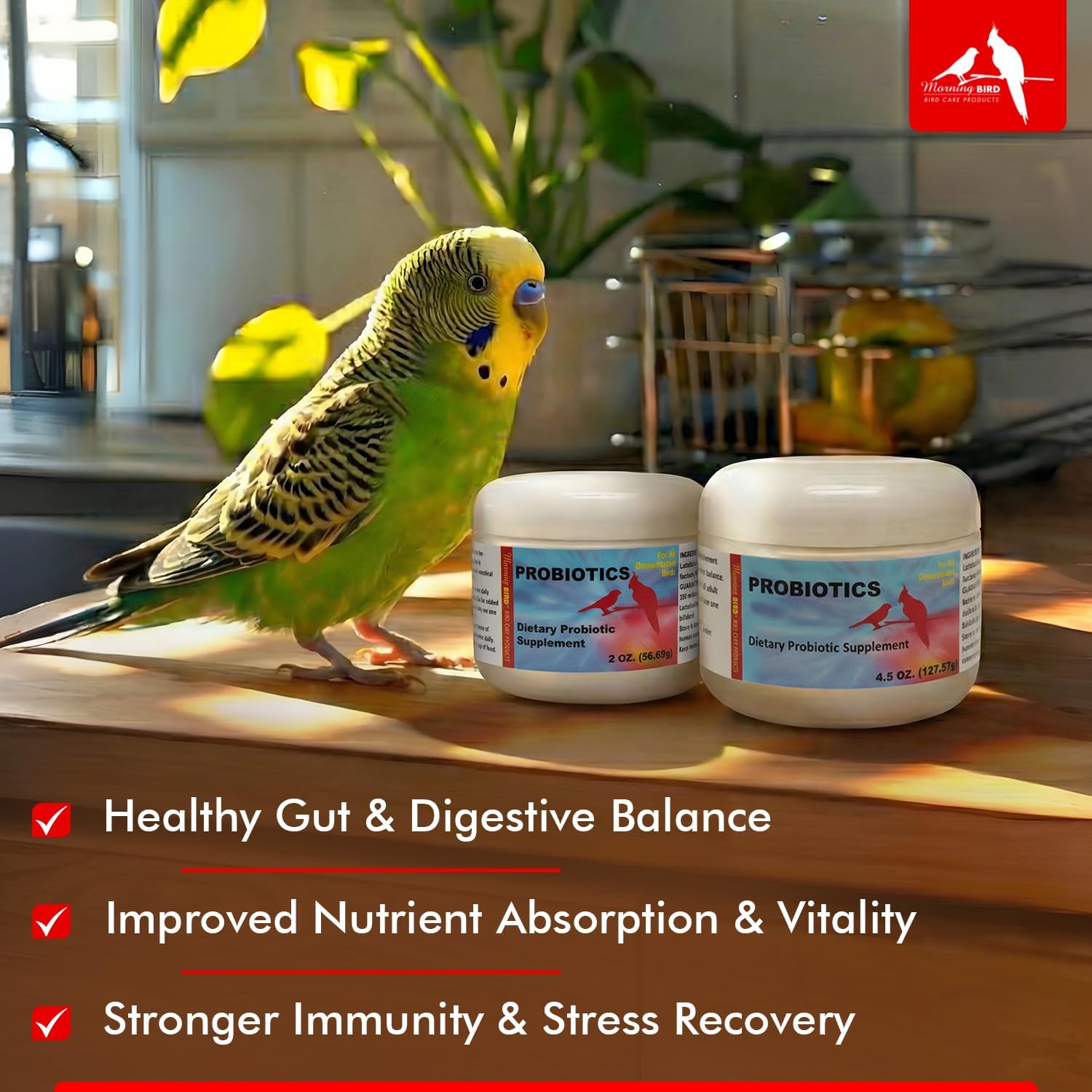 Probiotics for Birds 2 oz – Digestive Health Supplement Supporting Gut Balance, Nutrient Absorption, & Immune Support – Easy Mix Powder Supplement for All Bird Species | Supports Gut Balance, Nutrient Absorption & Immune Health – Easy Mix Powder for All Bird Species - Image 6