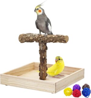 BNOSDM Portable Bird Perch Stand wi...