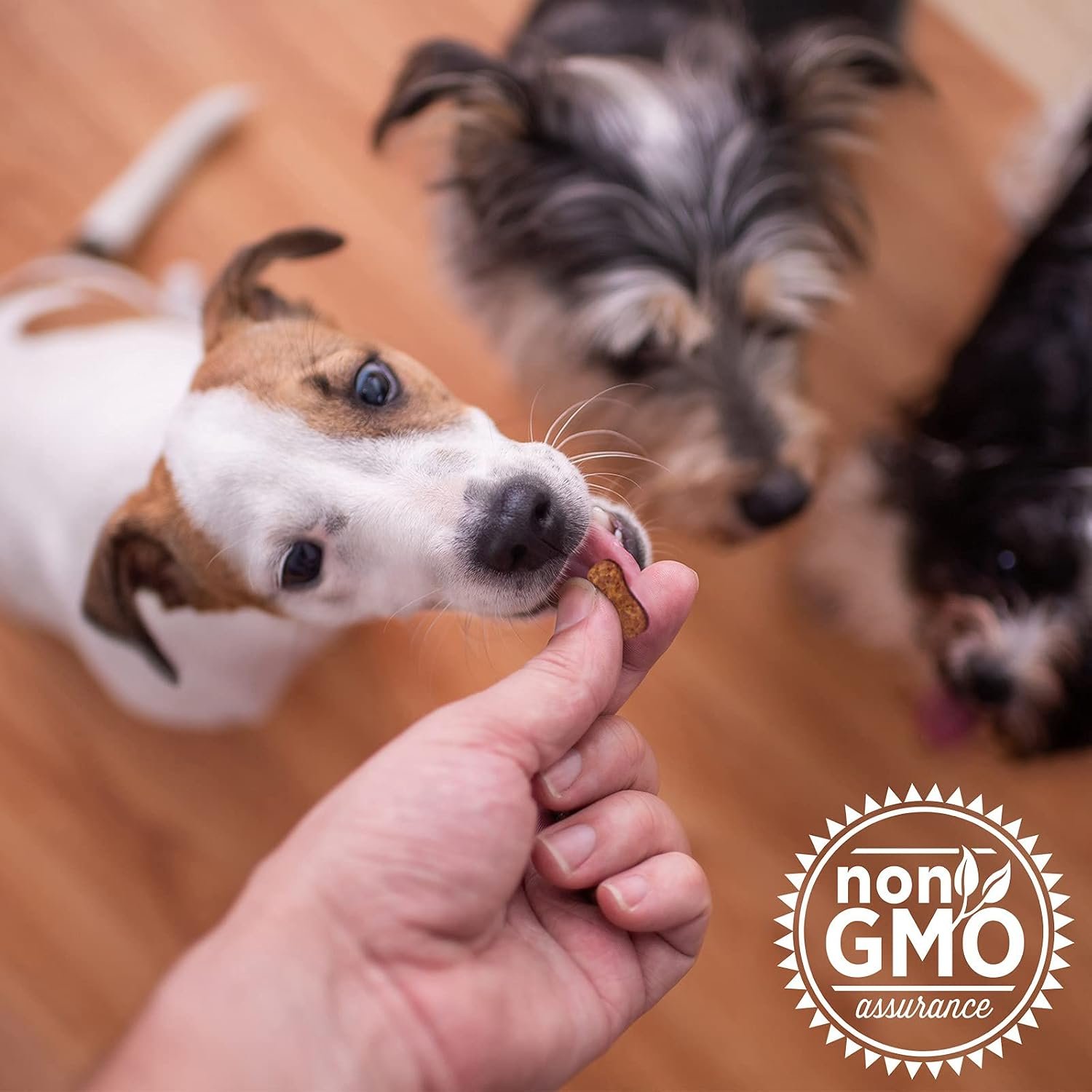 The Missing Link Collagen Care Hip & Joint Soft Chews 60ct - Daily Mobility & Anti-Inflammatory Support for Dogs - Image 6