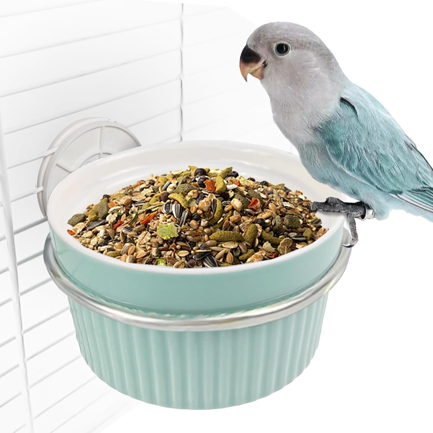 Bird Feeding Cups Parrot Food Cage ...