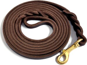 Guiding Star Leather Dog Leash for ...