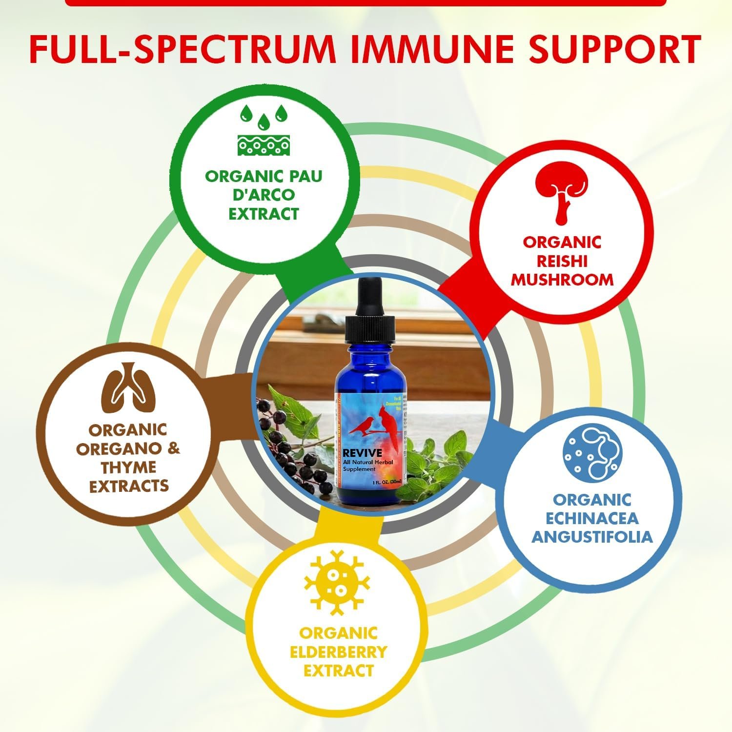 Morning Bird Revive 1 Fl Oz - Herbal Immune Support Extract for Birds | Supports Immune Response, Digestive Health, Energy & Overall Wellnes - Improved Liquid Formula for Faster Absorption - Image 6
