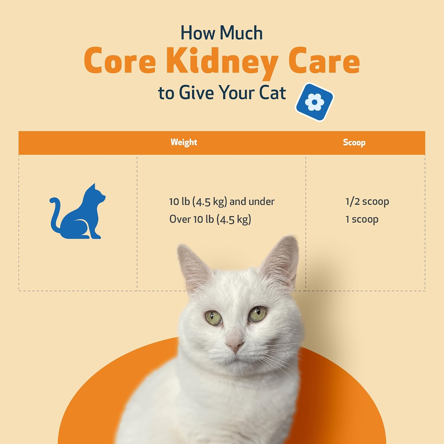 Pet Wellbeing Core Kidney Care for Cats - Daily Phosphate Binder, Supports Healthy Kidney Function with FOS, Chitosan, Probiotics - Veterinarian-Formulated 5.08 oz (144 g) Powder - Image 9
