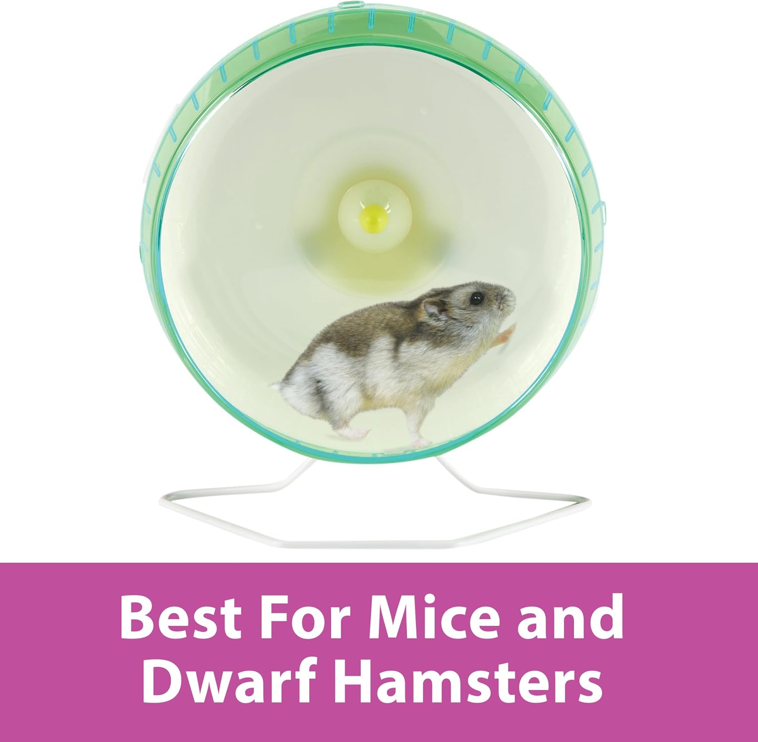Kaytee Silent Spinner Wheel For Pet Mice and Dwarf Hamsters, Mini 4.5 Inch - Image 6