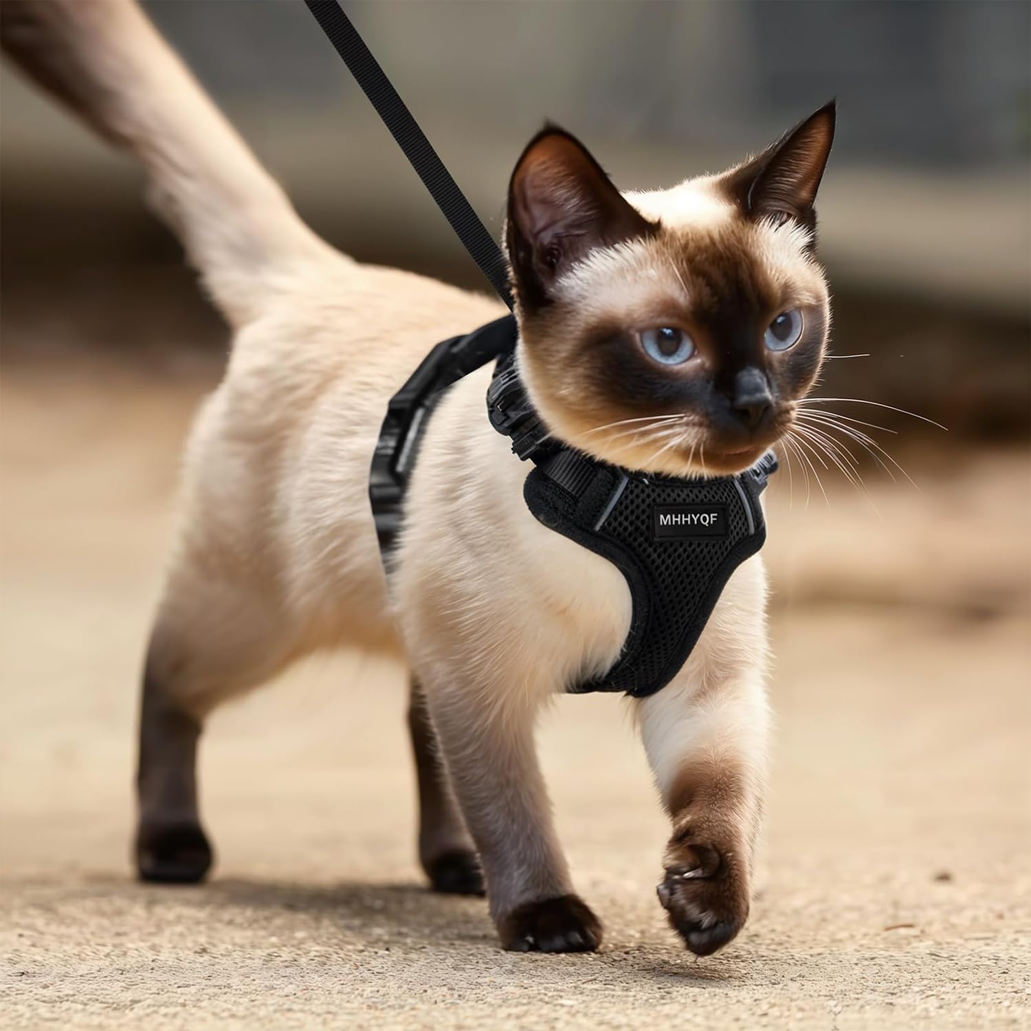 Cat Harness and Leash for Walking, Cat Car Harness, Soft Adjustable Vest Harnesses for Cats, Easy Control Breathable Reflective Strips Harness, Kitten Harness and Leash Set, Black, S - Image 6