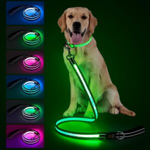 4 Ft LED Dog Leash, Light Up &...