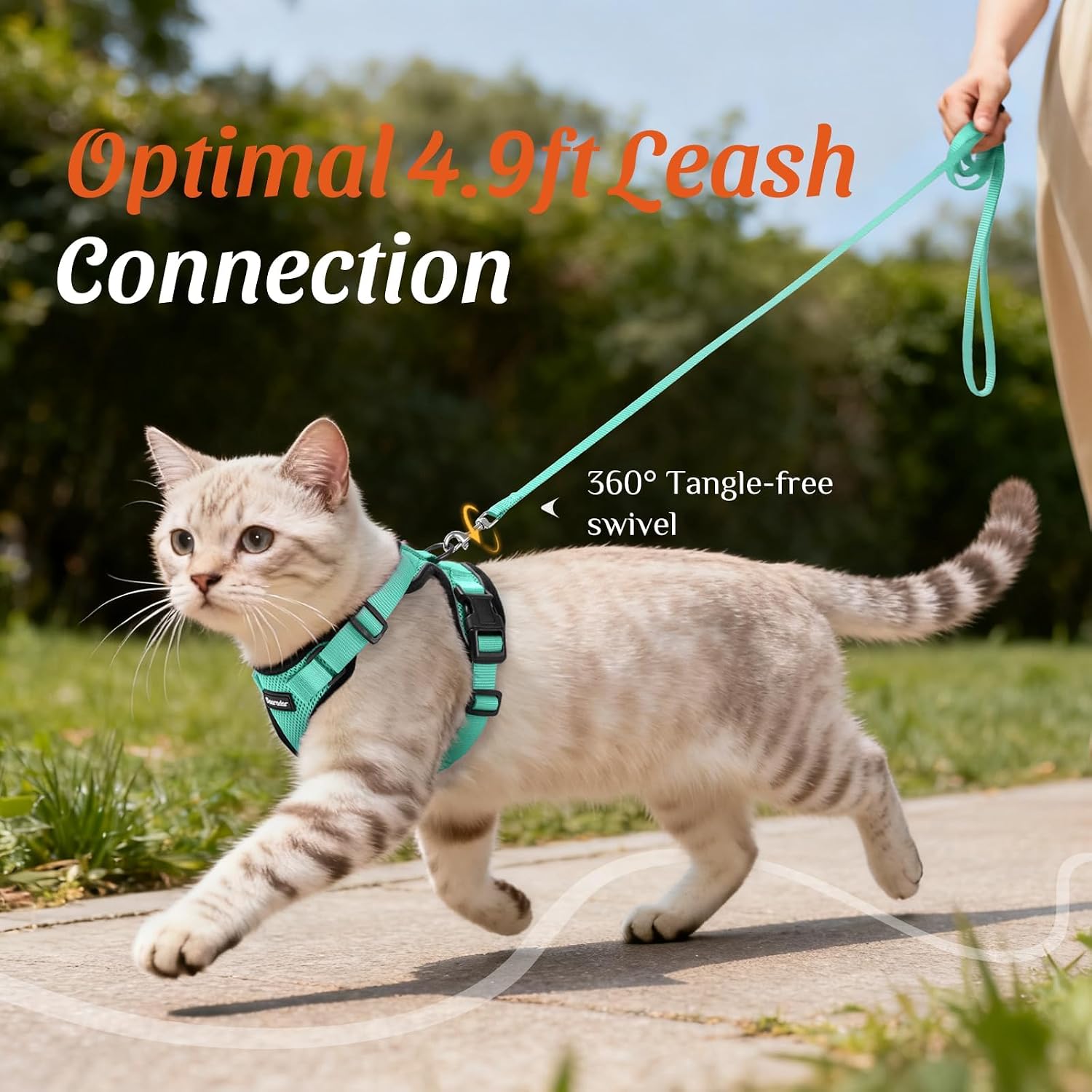 Dooradar Cat Harness and Leash Set, Adjustable and Escape Proof, Xs | Easy Fit, Snap Buckles, Soft Breathable Vest, Sturdy Clip, Reflective Strips, for Small & Average Cat Walks, Green - Image 7