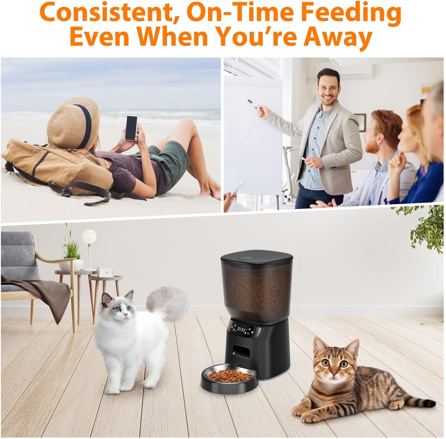 Automatic Cat Feeder, Cat Food Dispenser with Stainless Steel Bowl, Timed Portion Control 20 Portions 6 Meals Per Day, Voice Recorder, Dual Power Supply for Small Dogs - Image 7