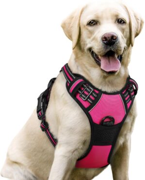 rabbitgoo Dog Harness No Pull with ...
