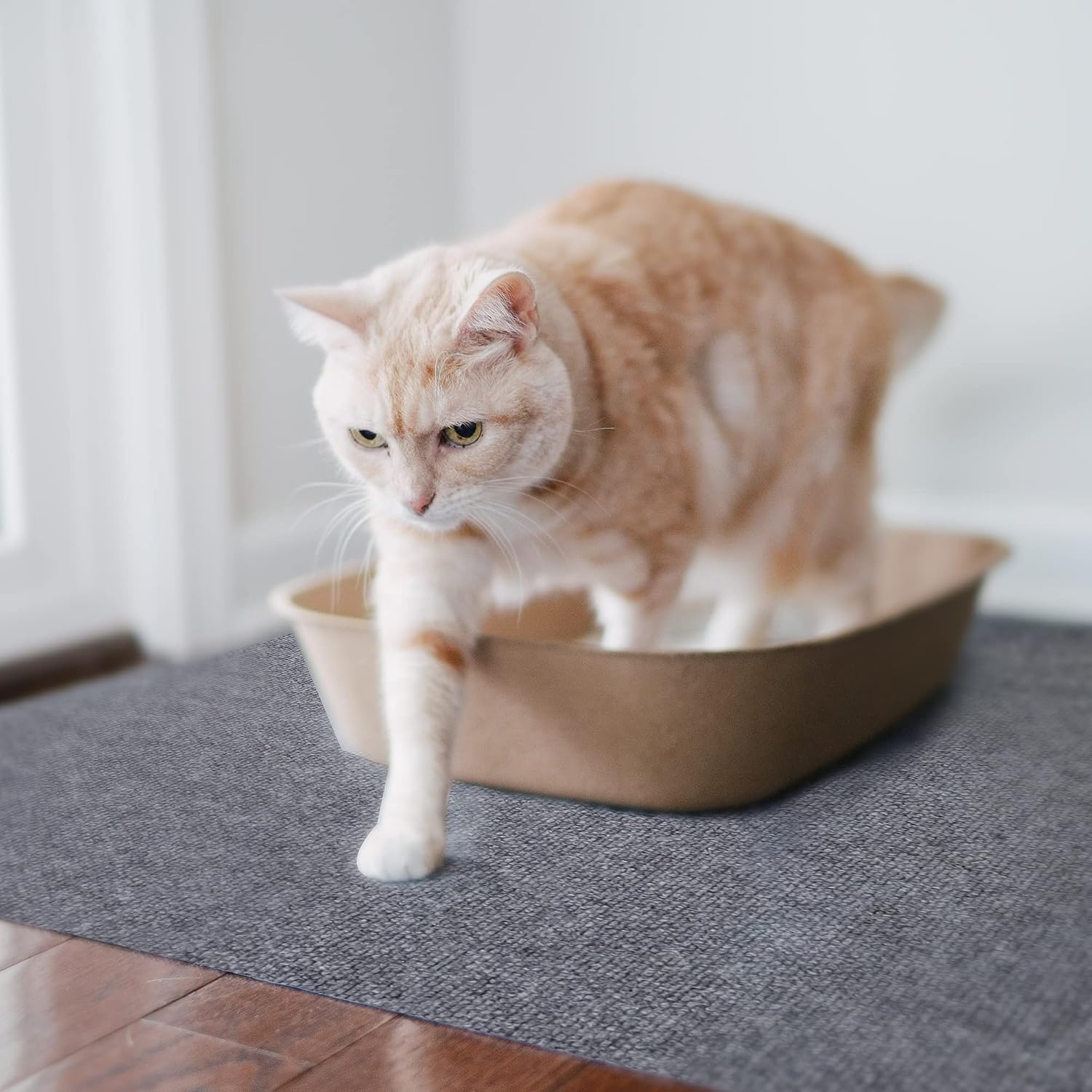 Cat Litter Mat by Americat – 36 x 28 Inches Machine Washable for Easy Clean, Waterproof & Made in USA – X Large Mat Traps Litter Around Cat Litter Box & Protects Floors - Image 3