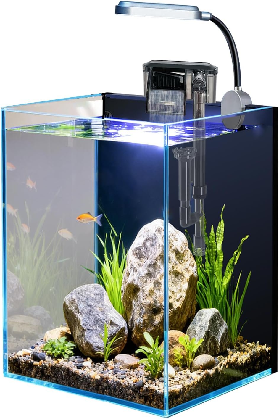 1.5 Gallon Fish Tank Starter Kits, ...