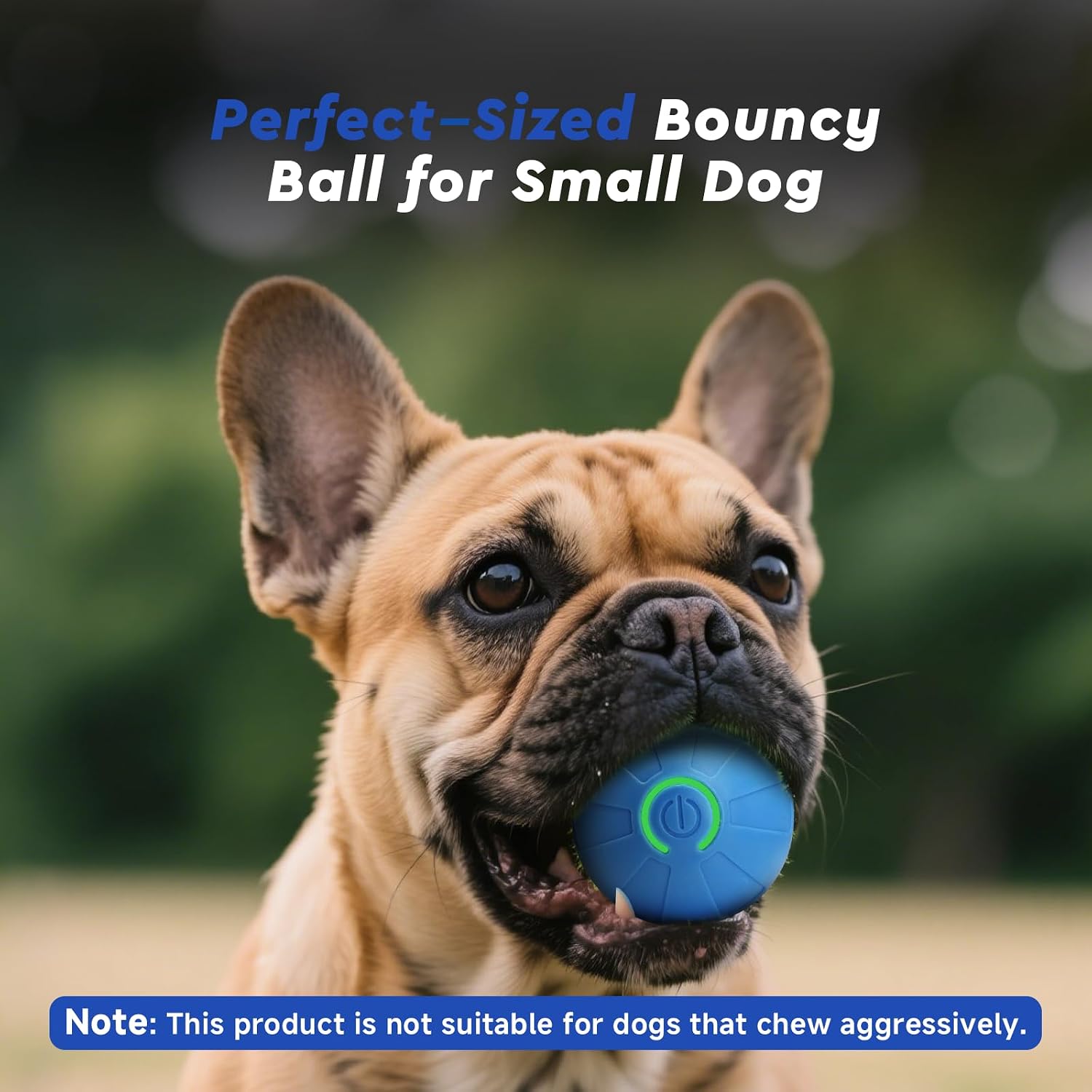 Interactive Small Dog Toy Ball, 2 Inch Smart Jumping Ball for Puppy/Small Dogs, Activated Automatic Bouncing Moving Vibrating, Dog Toy for Small Dogs to Keep Them Busy(Sky Blue) - Image 3