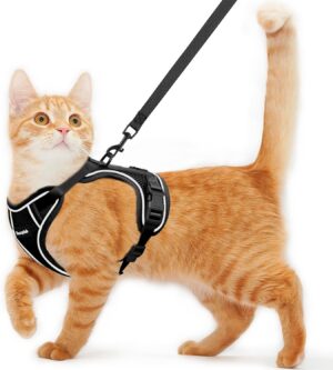 Cat Harness and Leash for Walking E...
