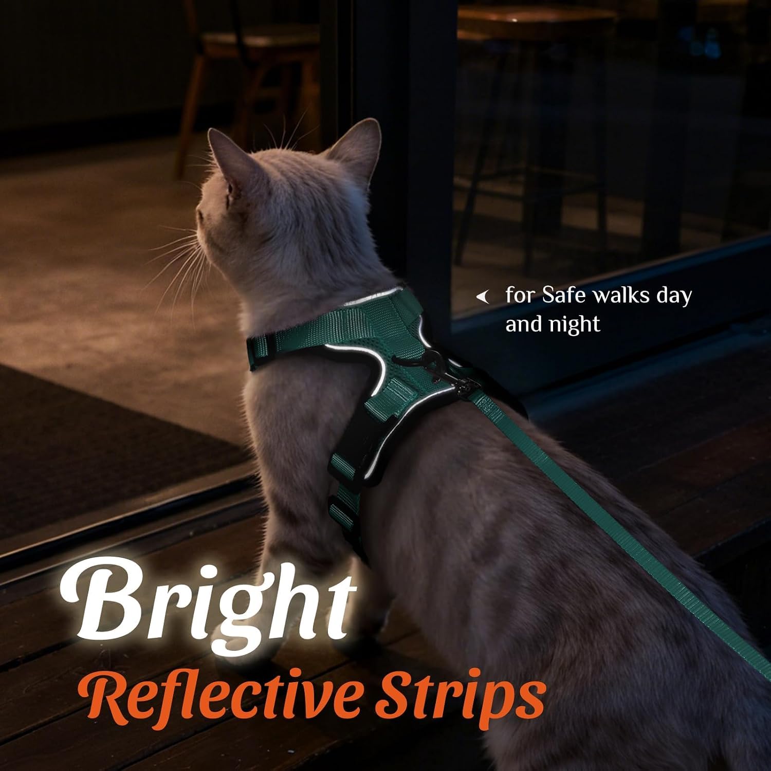 Dooradar Cat Harness and Leash Set, Adjustable and Escape Proof, Xs | Easy Fit, Snap Buckles, Soft Breathable Vest, Sturdy Clip, Reflective Strips, for Small & Average Cat Walks, Green - Image 5