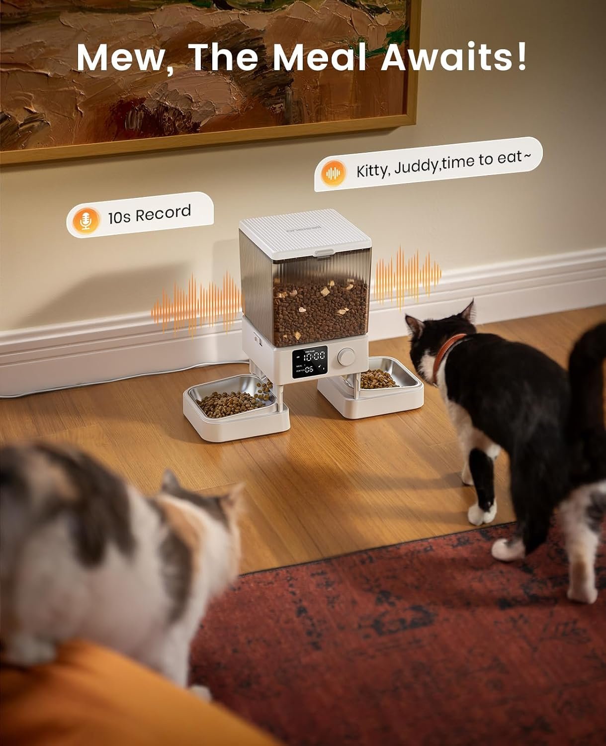 oneisall Automatic Cat Feeder for 2 Cats Pets, Timed Cat Food Dispenser | 20 Cups/5L, Prevent Fighting, Precise Portion, Balanced Dispense, Non-Slip & Stable, Voice Recorder, Stainless Steel Bowls - Image 8